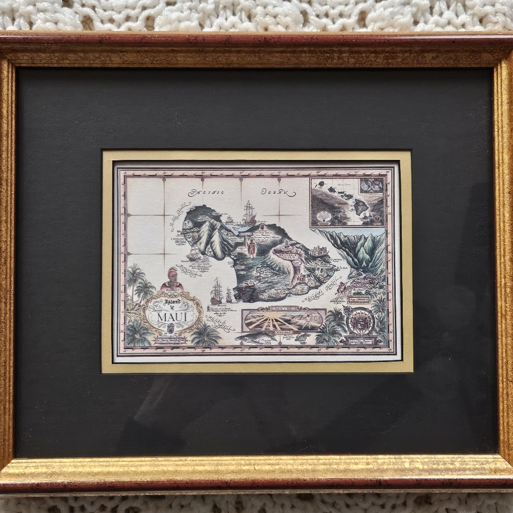 Blaise Domino Island of Maui Framed Print 1994